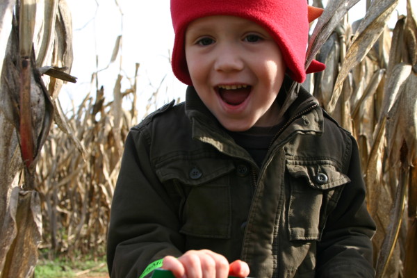 Corn Maze Local Farm Halloween