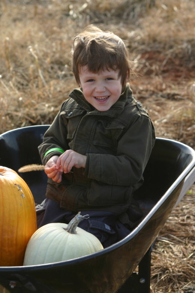 Local Organic Pumpkin Patch Pick-Your-Own