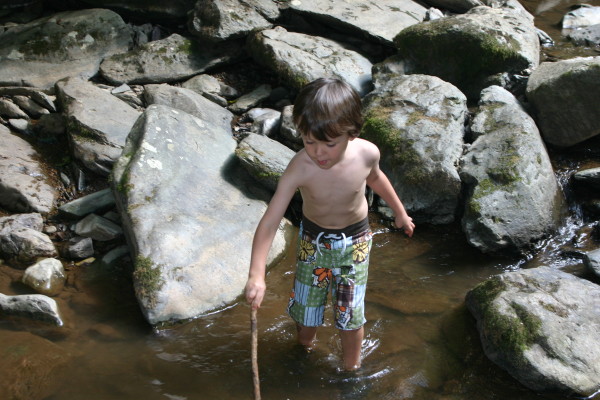 Playing outdoors in nature kids children earth green