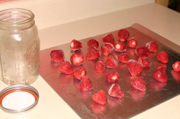 organic strawberries from farmers market buy in bulk freeze for winter