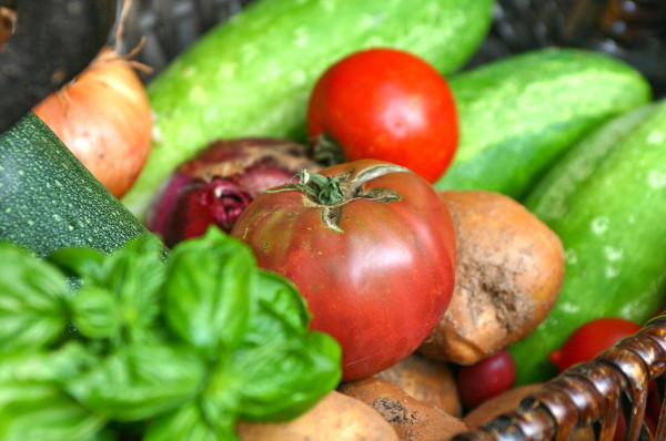 vegetables from my backyard garden