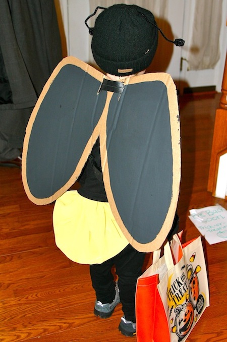 DIY Homemade Firefly Lightning Bug Costume for Halloween - back view