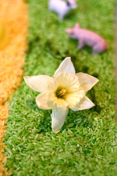 Easter or spring sensory bin (play tray) with rainbow rice | OnePartSunshine.com